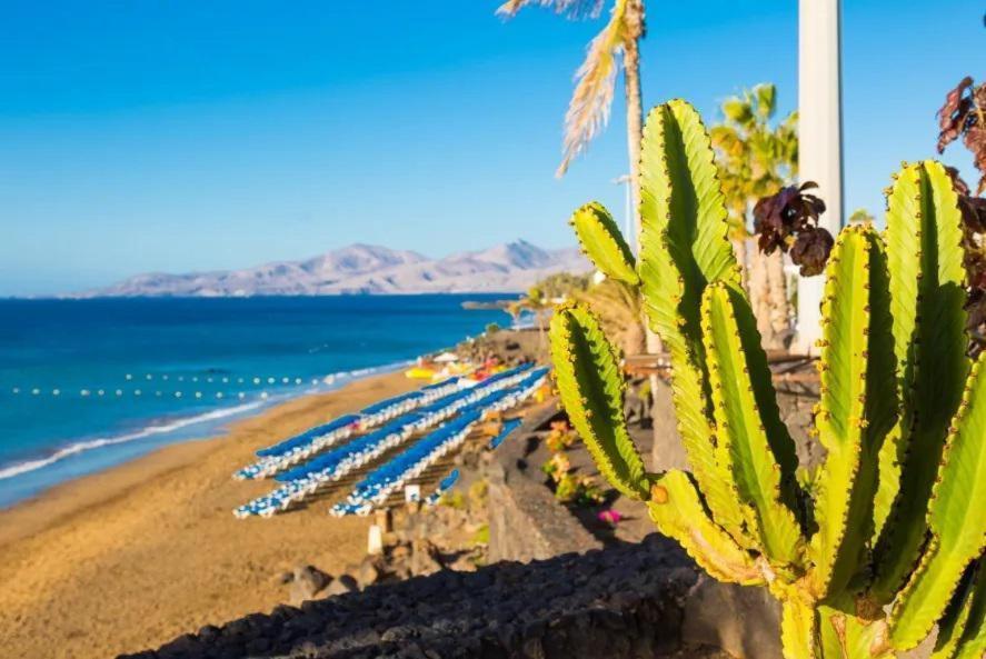 Villa Ariel Πλάγια Μπλάνκα Εξωτερικό φωτογραφία